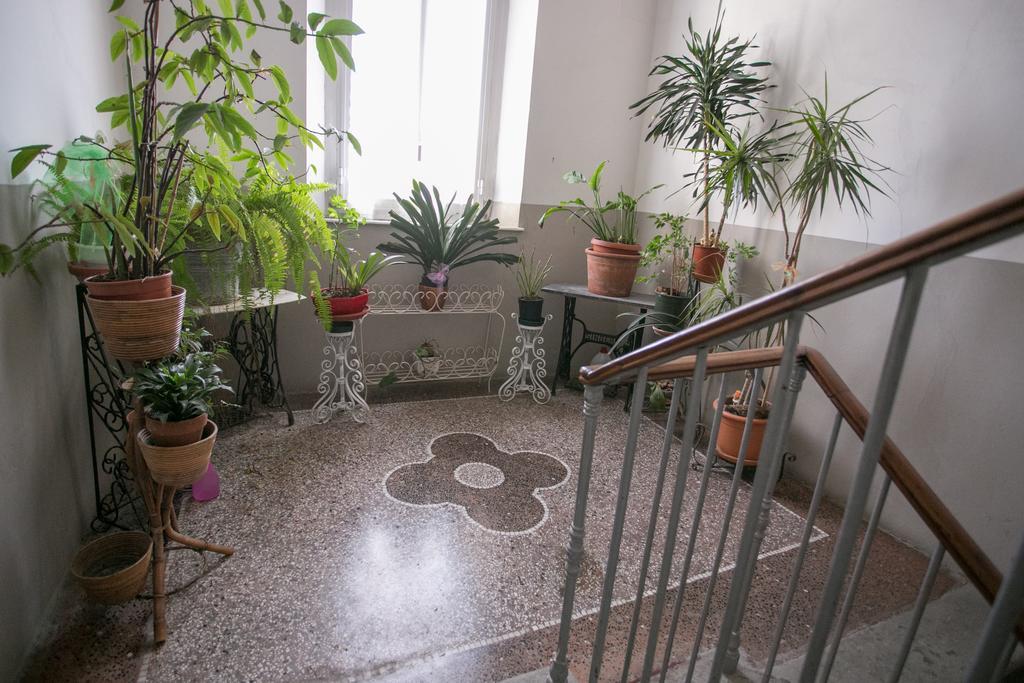 La Finestra Sul Mare B&B 利沃诺 外观 照片